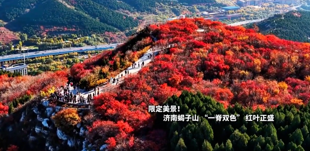 《國(guó)家地理》推薦！濟(jì)南又出圈了